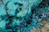 Colorful Chrysocolla and Shattuckite Slab - Mexico #227904-1